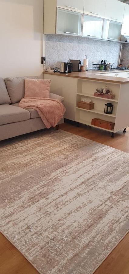 Magda Apartment Sibiu Eksteriør billede