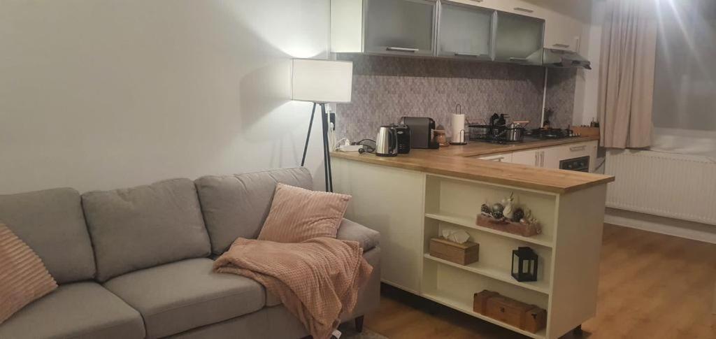 Magda Apartment Sibiu Eksteriør billede